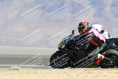 media/Apr-14-2024-SoCal Trackdays (Sun) [[70f97d3d4f]]/3-Turn 12 Speed Pans (945am)/